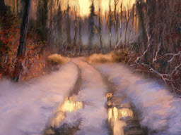 Golden Reflections in Snow